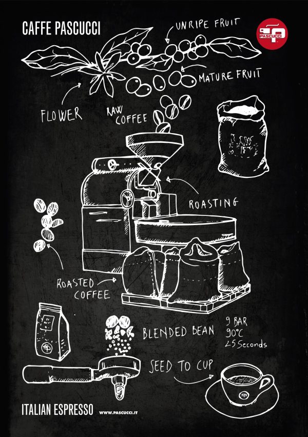 T-Shirt Pascucci „Roaster”