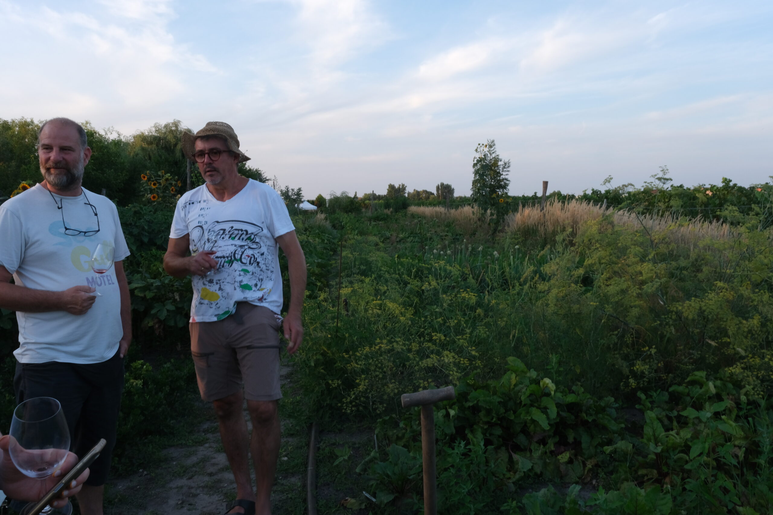 Tqr_Landschaft_Landingpage_aboutlastsummer