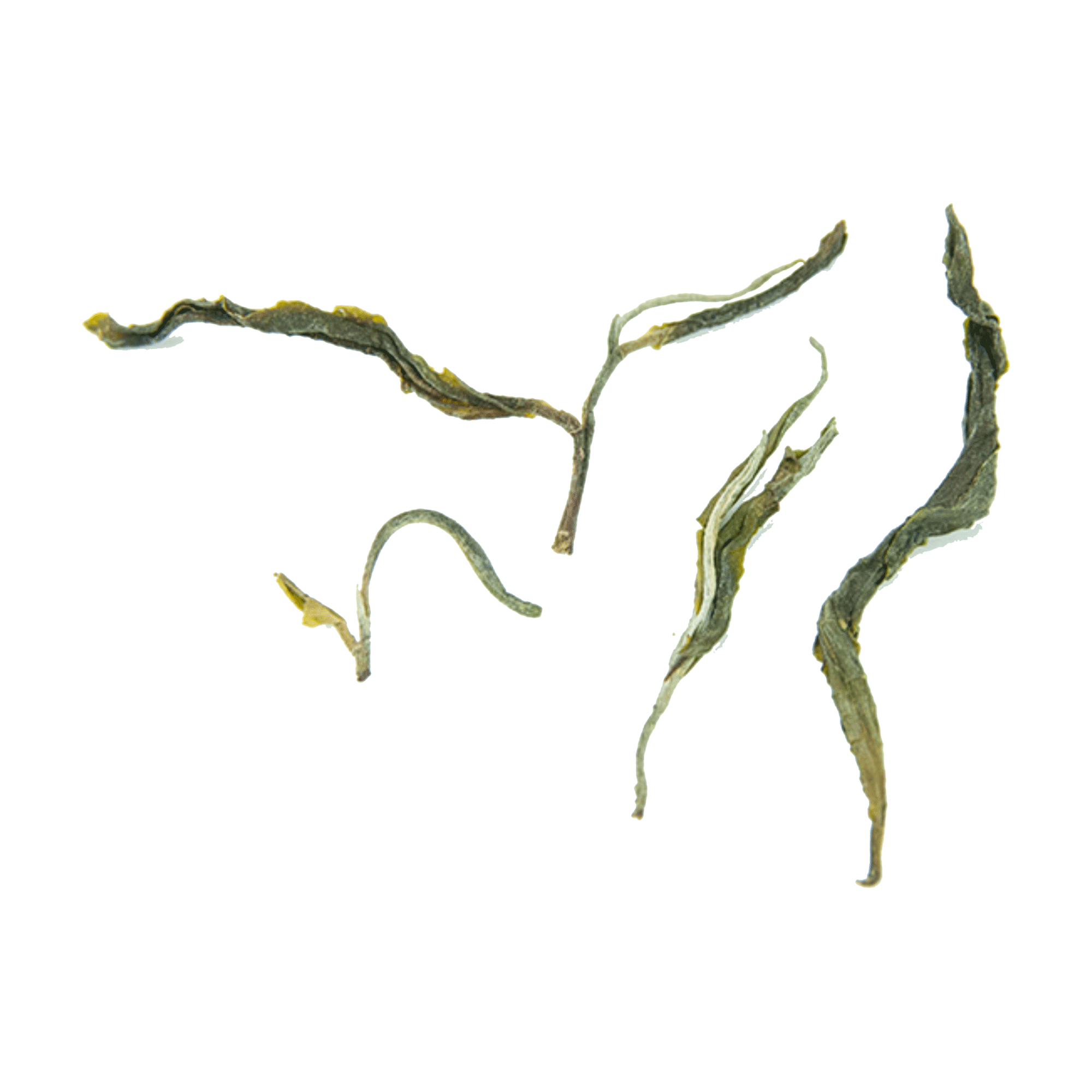 Kraftwerk Grüner Tee 50 g lose