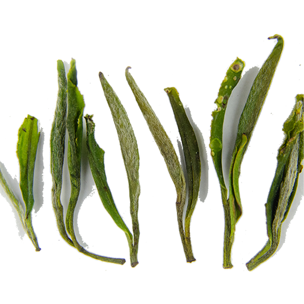Maofeng Tiffy 50g